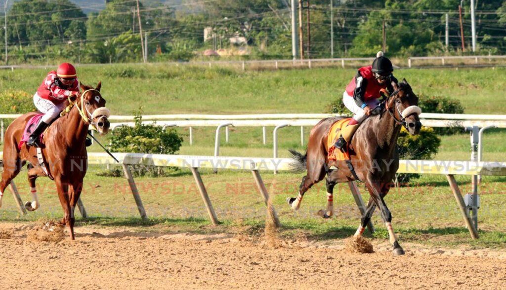 independence-cup-is-feature-race-at-santa-rosa