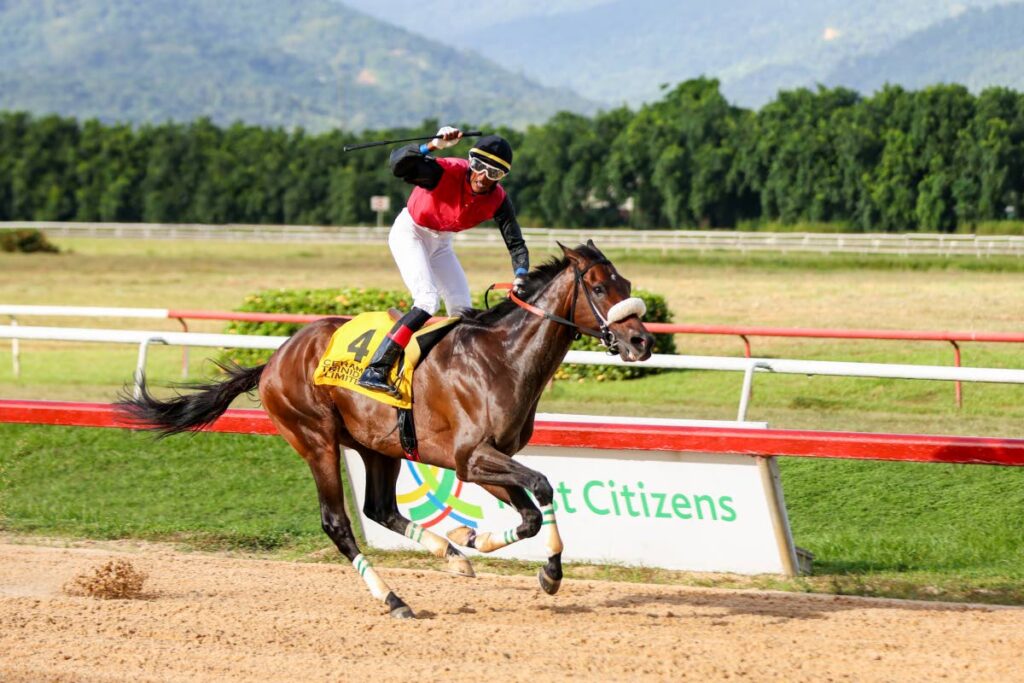 trinidad-and-tobago-horses-vie-for-glory-in-barbados